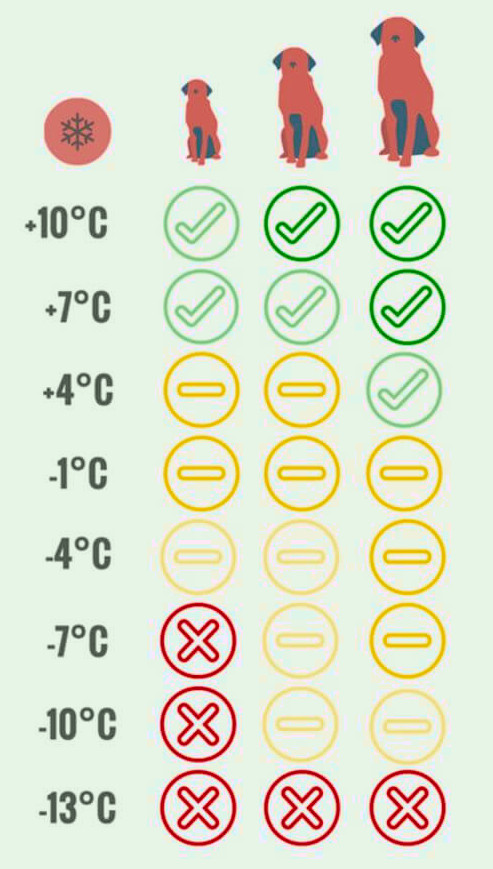 Grafik Hunde Temperaturtoleranz